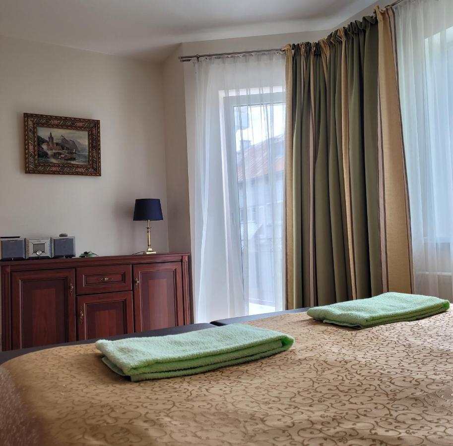 Chalet Villa Rex Ντρουσκινινκάι Εξωτερικό φωτογραφία